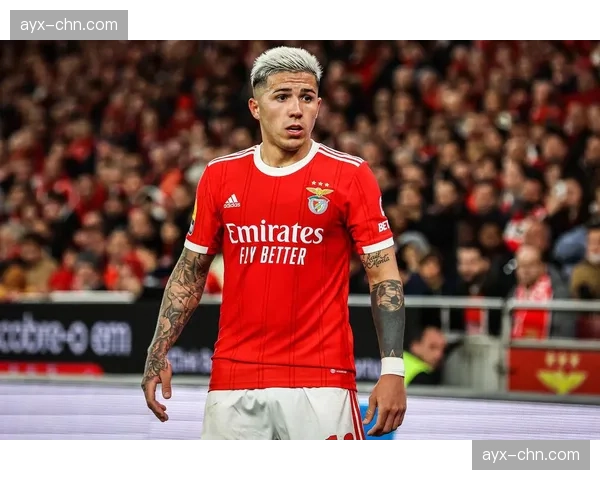 数据复盘：多特蒙德跑动距离比本菲卡多出12公里，高强度跑占比创赛季新高